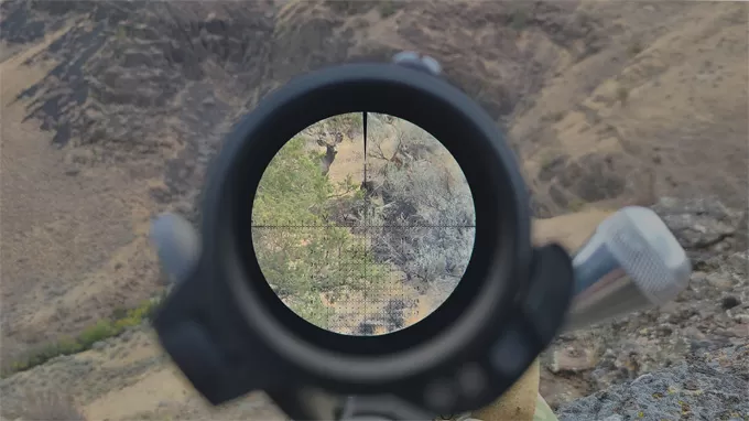 The Optical Reticle The Optical Reticle